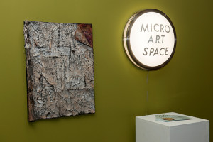 MicroArtSpace_March2014_Sirotin-Gordon_02