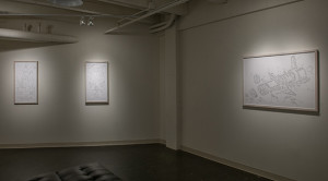 MicroArtSpace_Dan_Carlson_install_17